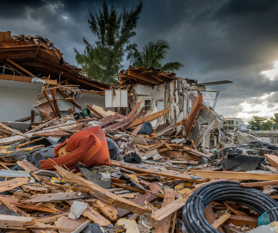 063025_Gone With the Wind Hurricane Helene Helps Researchers Track Pitch Canker Spread