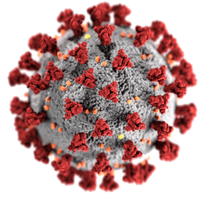 image of the coronavirus, COVID-19