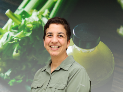 013026_Harnessing AI With Drone Imagery To Detect Costly Celery Disease Before Symptoms Surface (UF News)