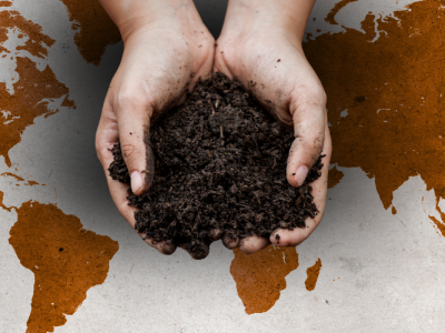 081225_Researchers Create First High-Resolution Map of Soil Properties Across the Globe