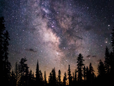 092525_UF Astronomers Use James Webb Space Telescope To Uncover Hidden Stars in the Milky Way’s Largest Stellar Nursery (UF News)