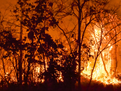 101625_Multi-University AI Research May Revolutionize Wildfire Evacuation (UF News)