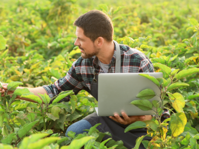 102325_With Startup, Researchers Plan To Help Growers Feed More People, Preserve Environment (UF News)