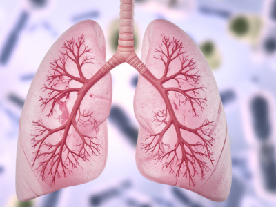 260106_Gut Bacteria Molecule Boosts Lung Cancer Treatment Response (UF Health)