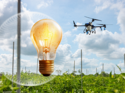 260114_UFIFAS Awards $524K to Research Teams To Drive Agricultural Innovation (UFIFAS)