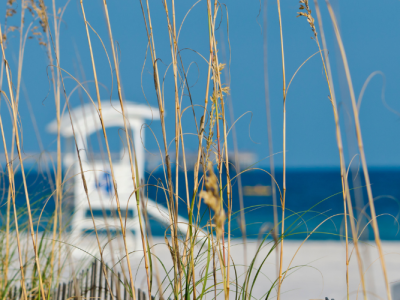 Finalists Announced for $50 Million Challenge to Support a Safer, More Sustainable Gulf Coast (UF HWCE)