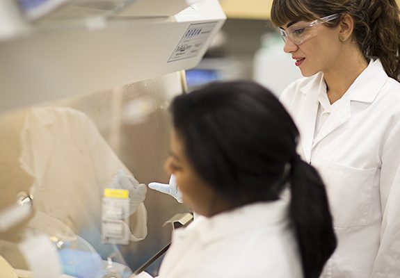 The Hub - 2 employees in a lab