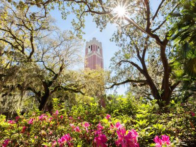 UF’s Century Tower surrounded by trees and pink flowers.