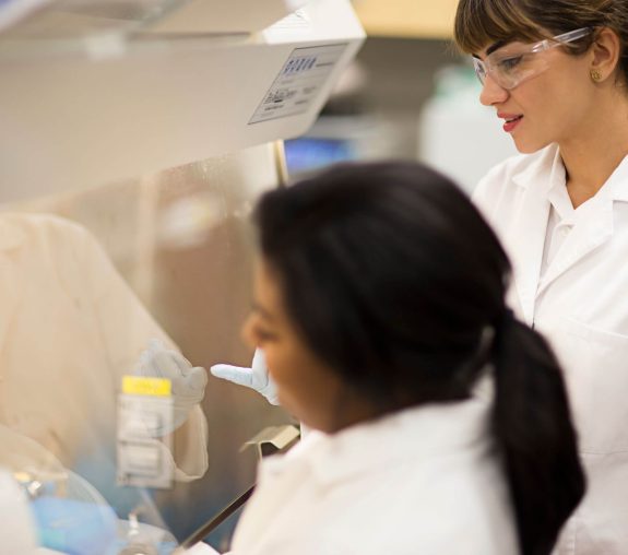 People observing something inside a glass-walled lab.