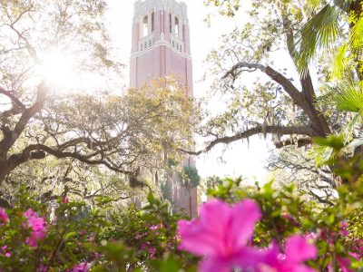 UF’s Century Tower surrounded by trees and pink flowers.