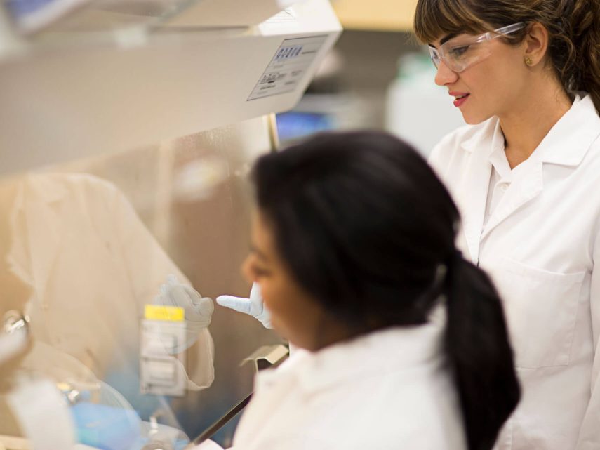 People observing something inside a glass-walled lab.