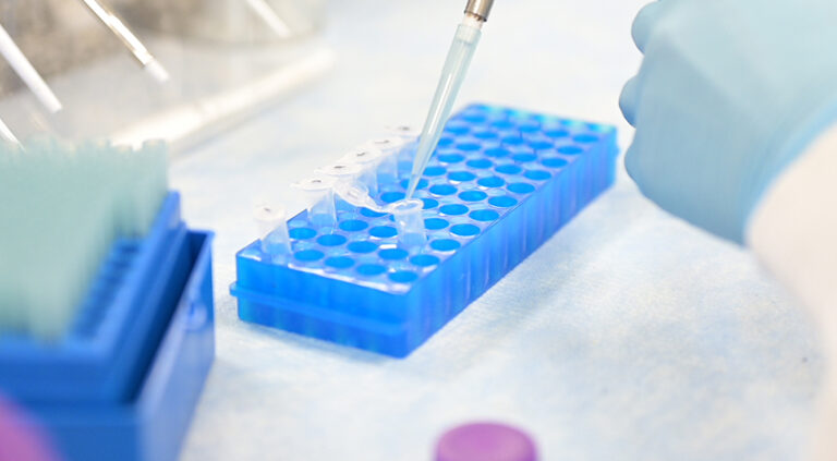 A person using a pipette adds drops into a tray of test tubes
